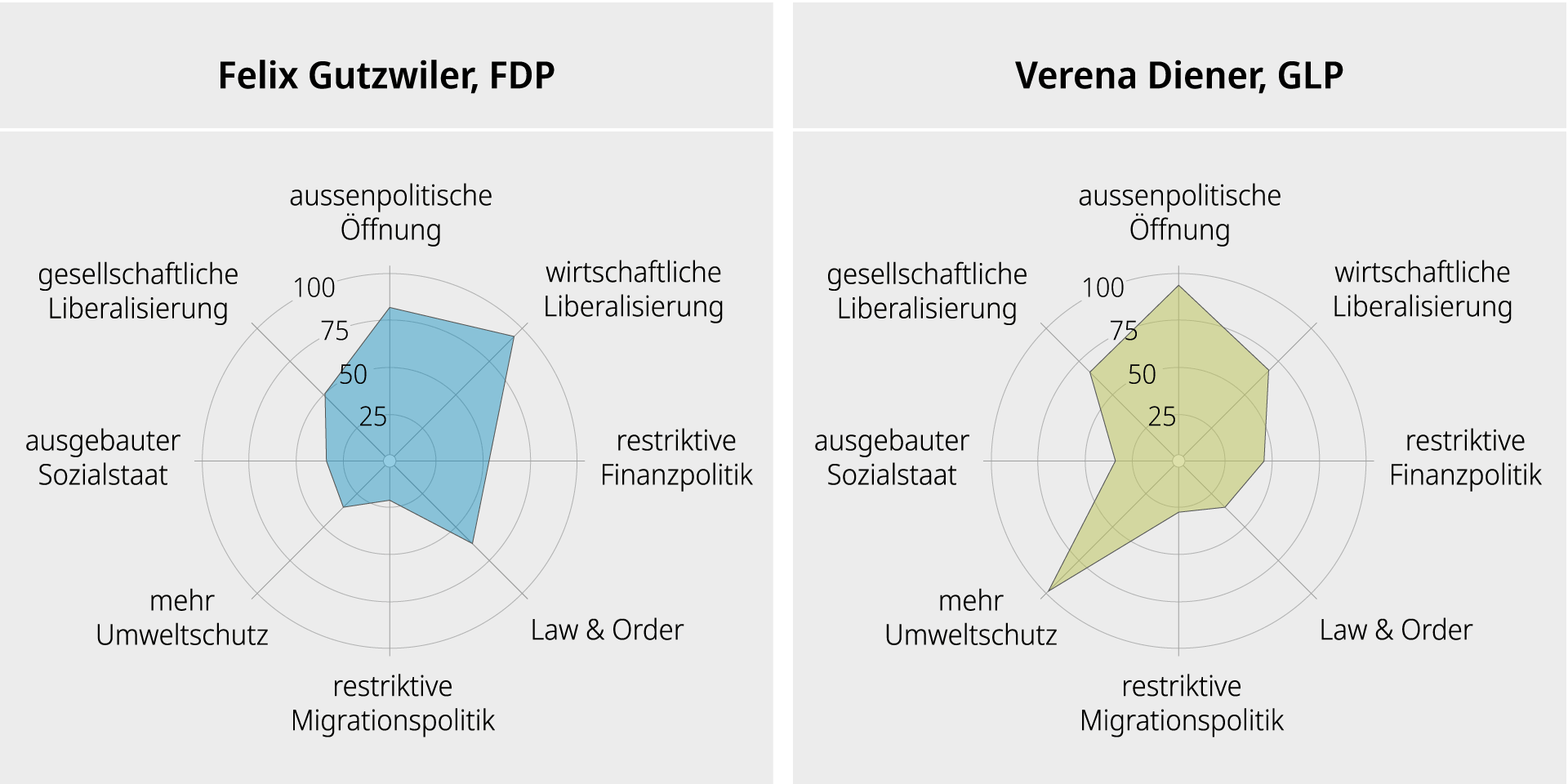 Alternative: Netzdiagramm