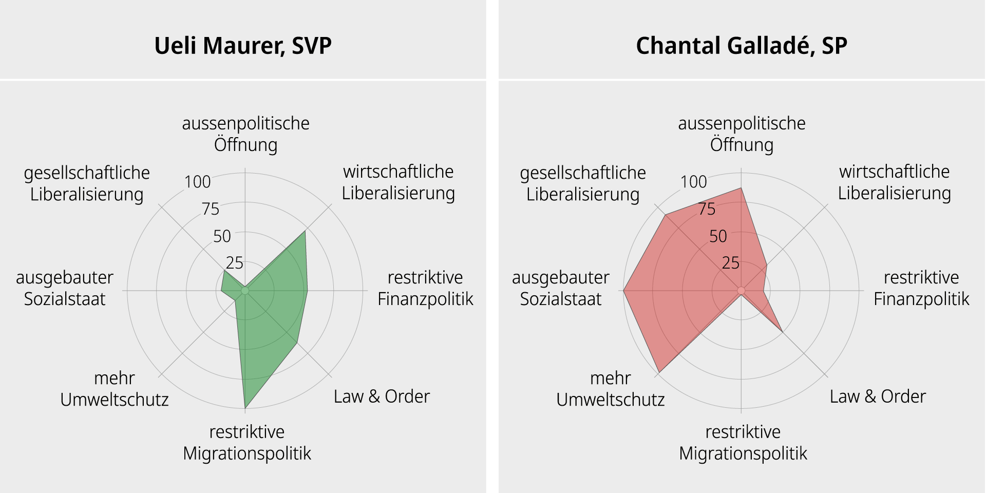 Netzdiagramm Maurer und Galladé