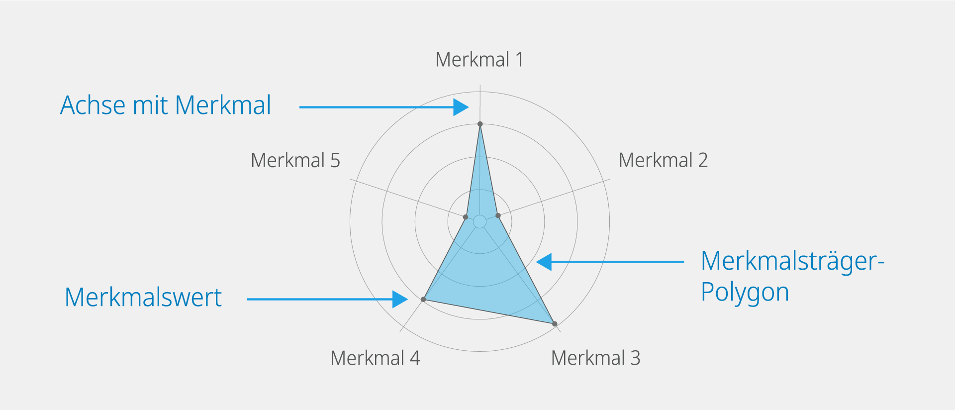 Grundbausteine des Netzdiagramms